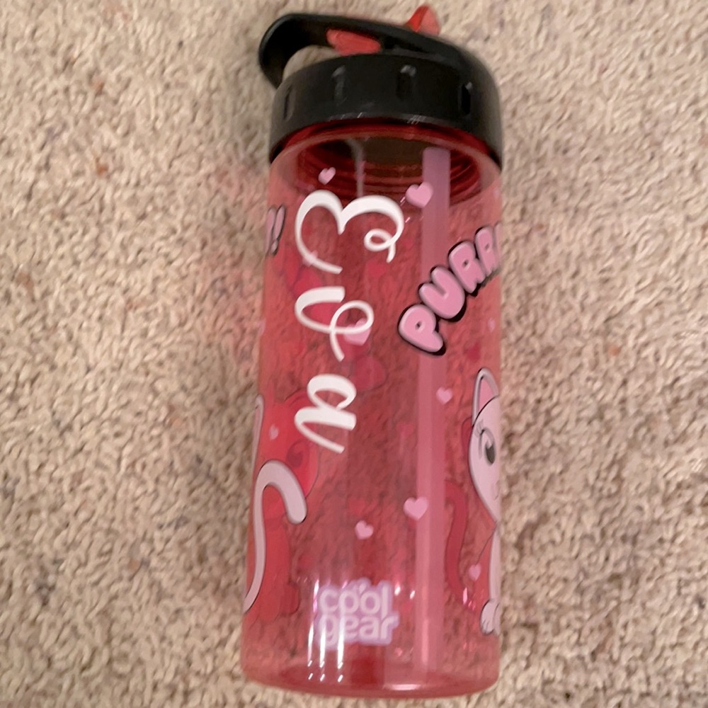 NEW 🌸 COOL GEAR personalized ’EVA’ water bottle with a straw